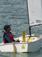 SIN 3127